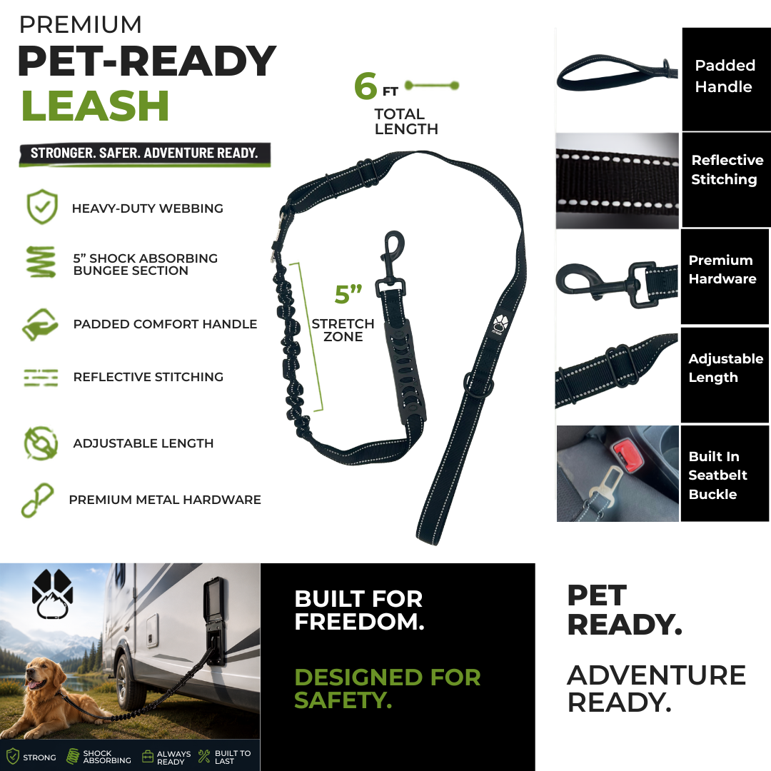 Pet Ready Reflective Bungee Dog Leash & Seat Belt Tether